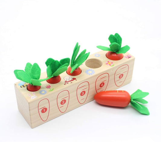 Montessori Sortator de Morcovi din Lemn