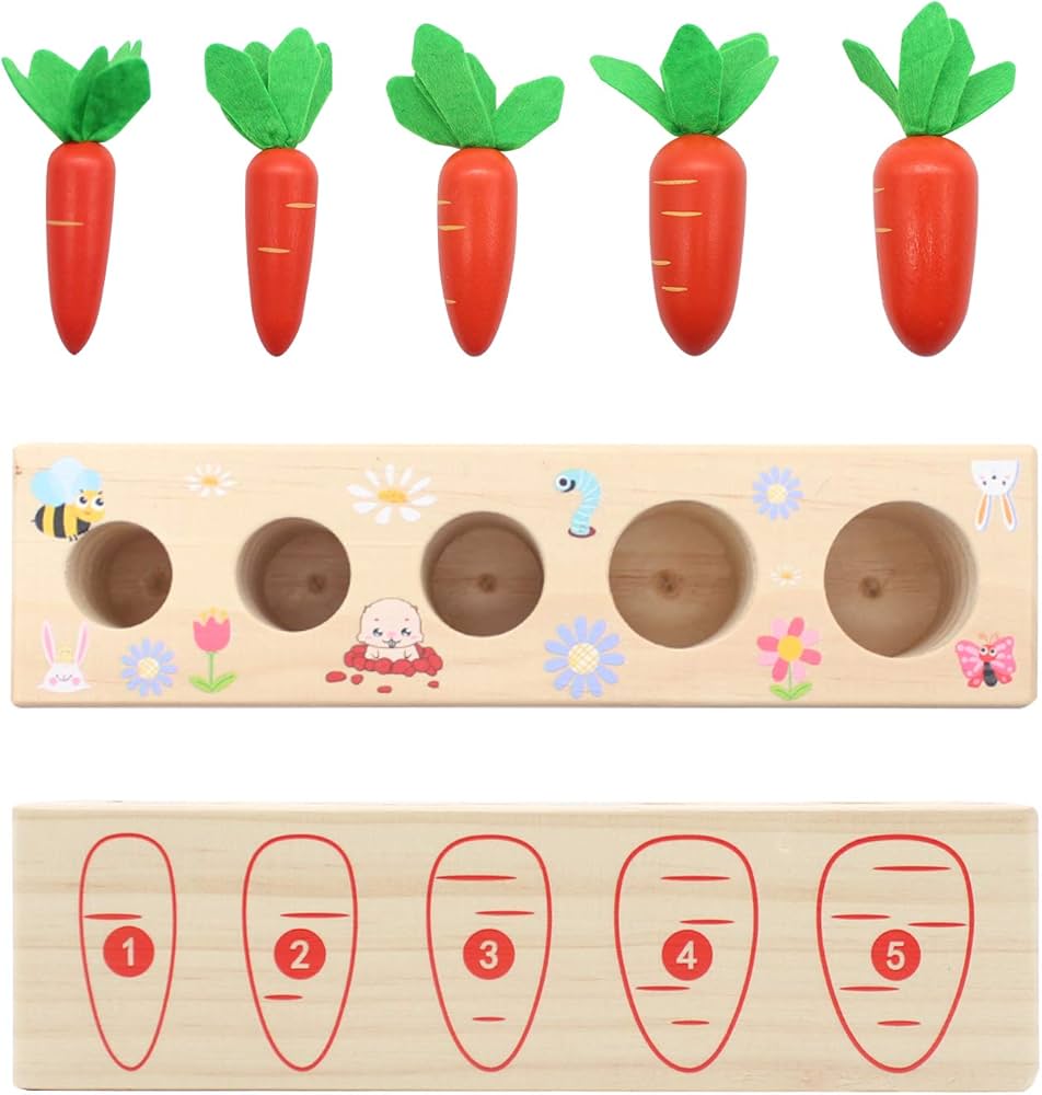 Montessori Sortator de Morcovi din Lemn