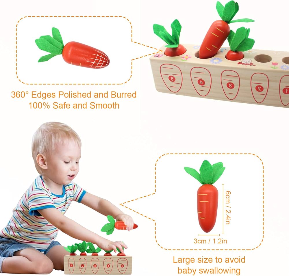 Montessori Sortator de Morcovi din Lemn