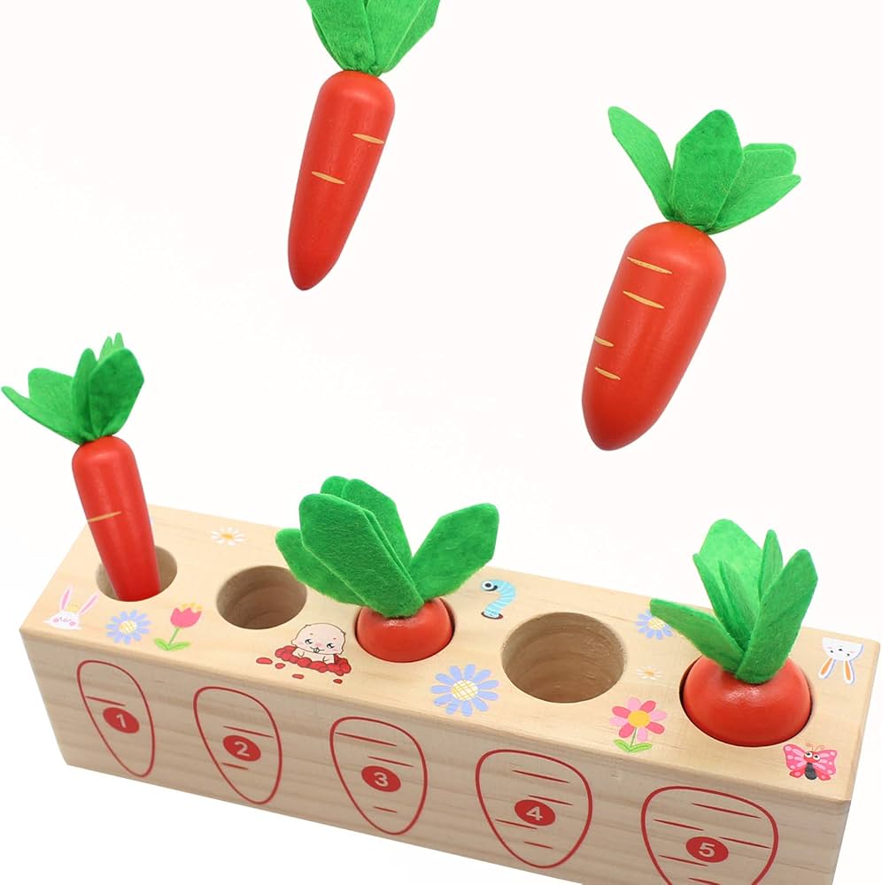 Montessori Sortator de Morcovi din Lemn