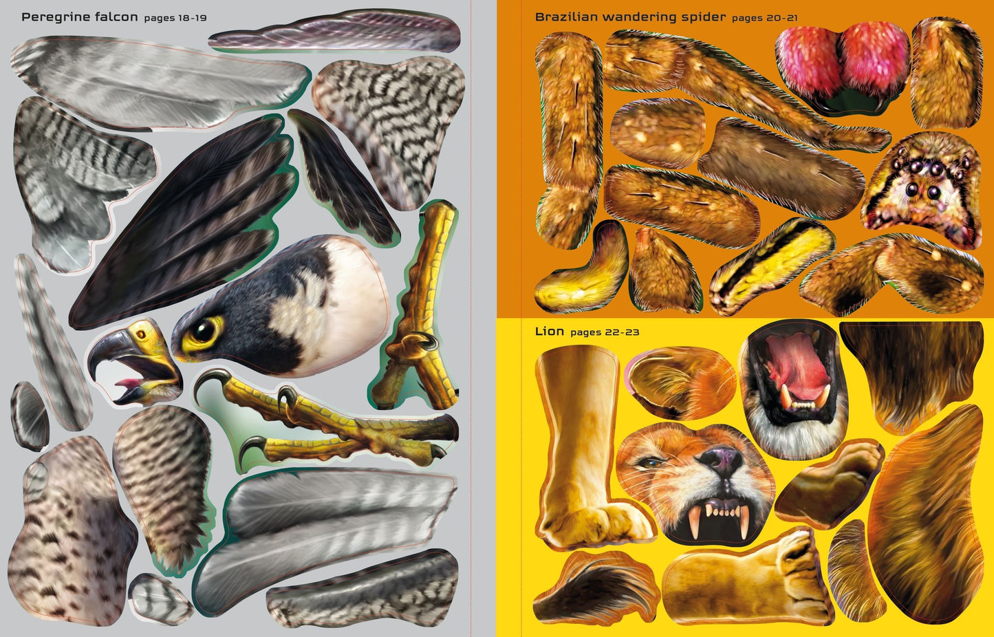 Carte cu Autocolante ,,Animale Fascinante''