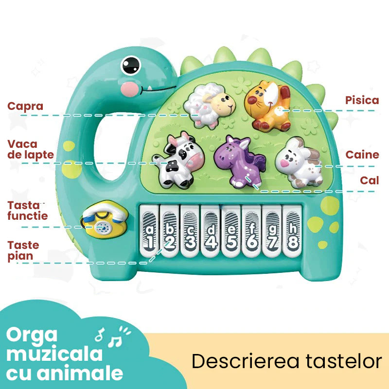 Descoperă Muzica cu Girafa Prietenoasă