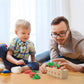 Montessori Sortator de Morcovi din Lemn
