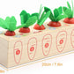 Montessori Sortator de Morcovi din Lemn