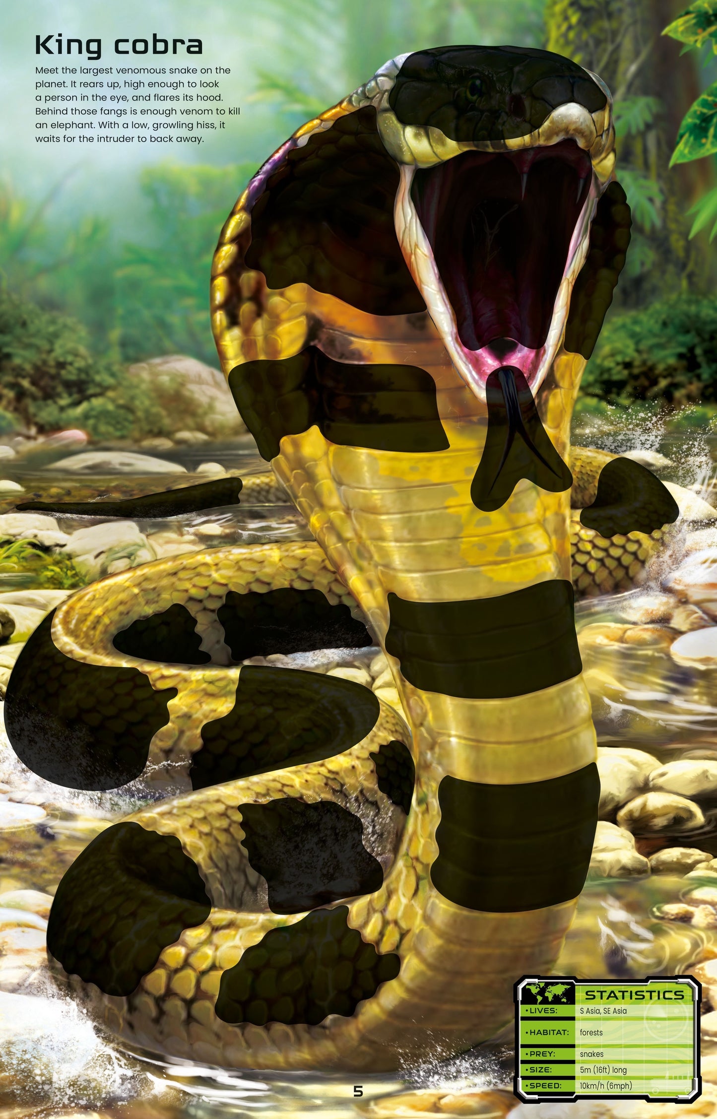 Carte cu Autocolante ,,Animale Fascinante''