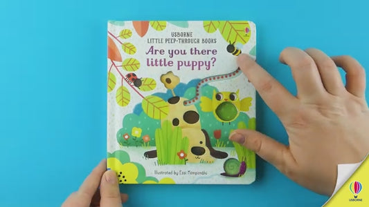 Carte Board Book Interactivă – Cățelușul Ascuns